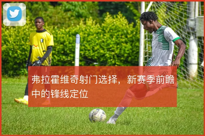 弗拉霍维奇射门选择,新赛季前瞻中的锋线定位