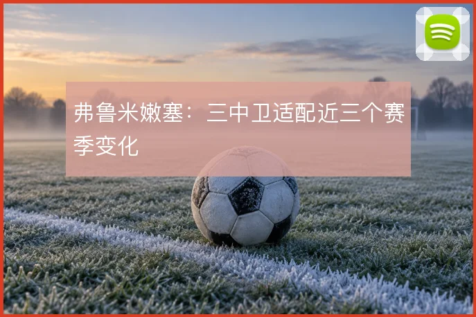 弗鲁米嫩塞：三中卫适配近三个赛季变化