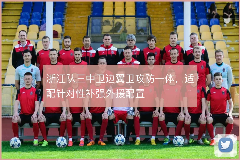 浙江队三中卫边翼卫攻防一体，适配针对性补强外援配置